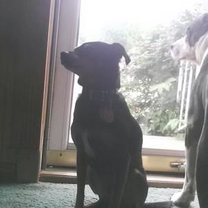 Meet your Posher, Danny